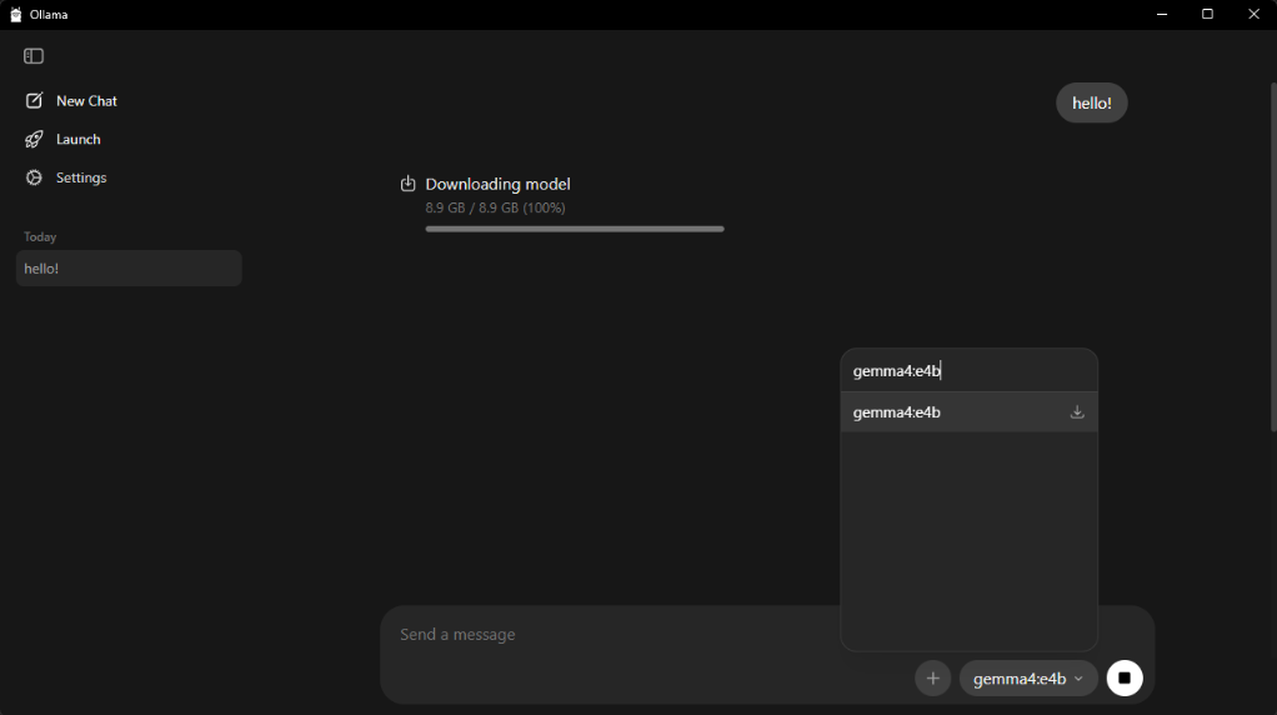 4. Start a chat to force the model download.