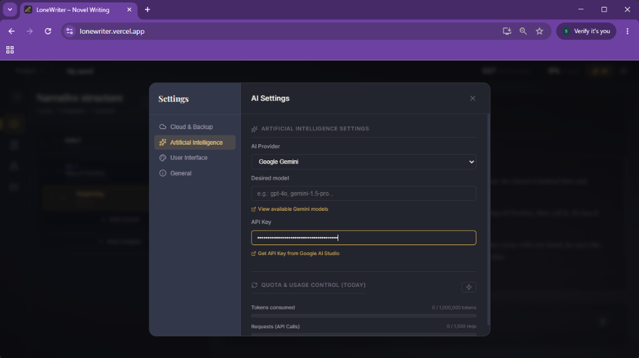 3. Select the provider and paste your API Key.